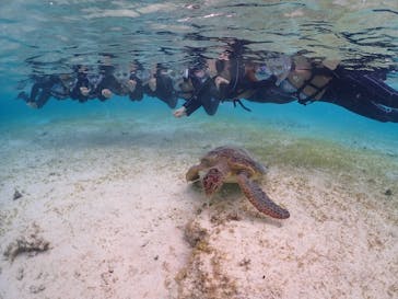 初心者専門宮古島シュノーケリングツアーに投稿された画像（2024/3/22）