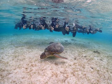 初心者専門宮古島シュノーケリングツアーに投稿された画像（2024/3/22）