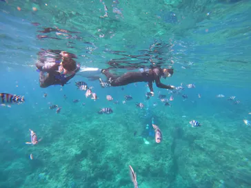 武藤潜水に投稿された画像（2024/3/22）