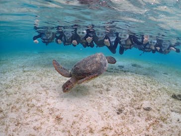 初心者専門宮古島シュノーケリングツアーに投稿された画像（2024/3/22）