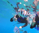 武藤潜水に投稿された画像（2024/3/22）