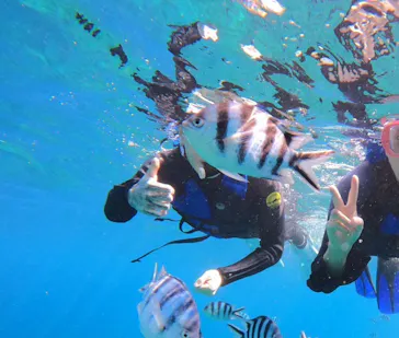 武藤潜水に投稿された画像（2024/3/22）