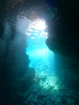 武藤潜水に投稿された画像（2024/3/22）