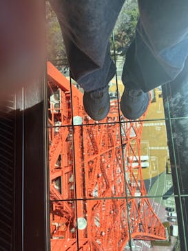 東京タワーに投稿された画像（2024/3/22）