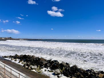 アクアワールド茨城県大洗水族館に投稿された画像（2024/3/22）