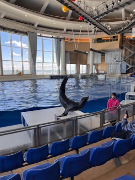 アクアワールド茨城県大洗水族館に投稿された画像（2024/3/22）