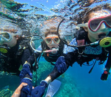 沖縄マリンサービス碧に投稿された画像（2024/3/22）