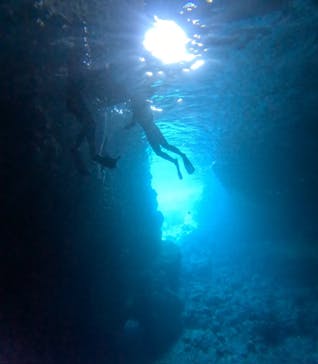 沖縄マリンサービス碧に投稿された画像（2024/3/22）