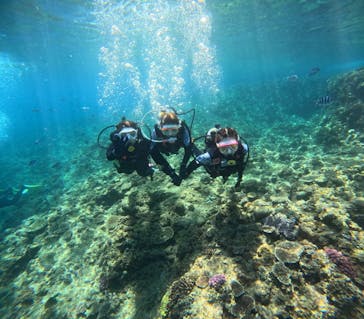 沖縄マリンサービス碧に投稿された画像（2024/3/22）