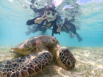 初心者専門宮古島シュノーケリングツアーに投稿された画像（2024/3/22）