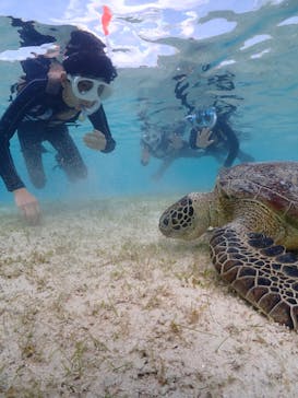 初心者専門宮古島シュノーケリングツアーに投稿された画像（2024/3/22）