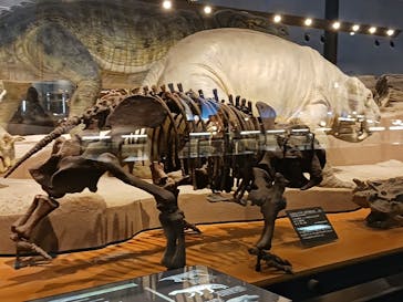 福井県立恐竜博物館に投稿された画像（2024/3/22）