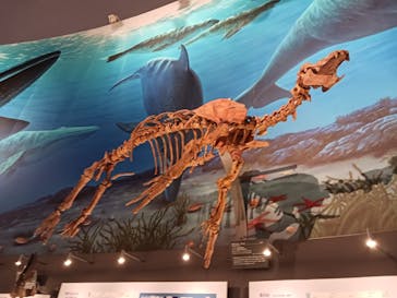 福井県立恐竜博物館に投稿された画像（2024/3/22）