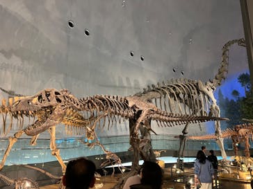 福井県立恐竜博物館に投稿された画像（2024/3/22）
