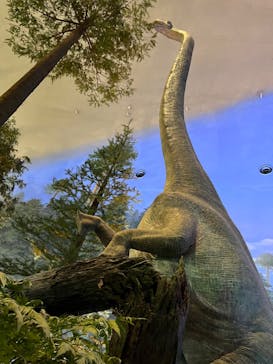 福井県立恐竜博物館に投稿された画像（2024/3/22）