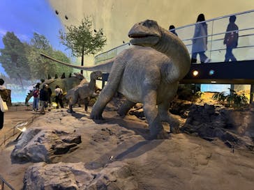 福井県立恐竜博物館に投稿された画像（2024/3/22）