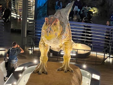 福井県立恐竜博物館に投稿された画像（2024/3/22）