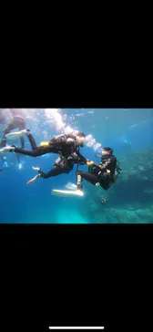 武藤潜水に投稿された画像（2024/3/22）