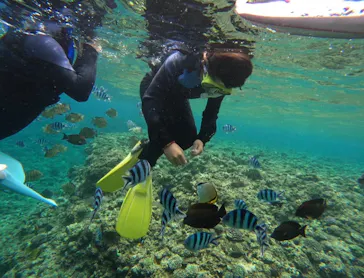 武藤潜水に投稿された画像（2024/3/22）