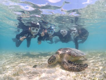 初心者専門宮古島シュノーケリングツアーに投稿された画像（2024/3/22）