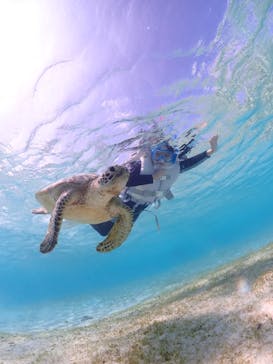 宮古島マリン GB QUESTに投稿された画像（2024/3/22）