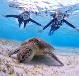 CHAMP TOUR　宮古島に投稿された画像（2024/3/22）