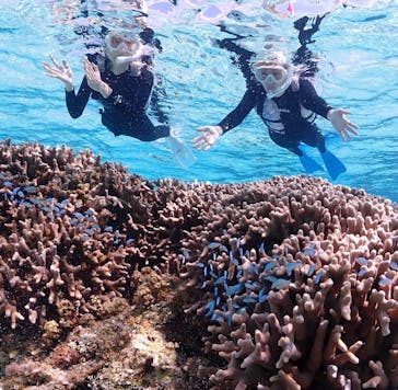 CHAMP TOUR　宮古島に投稿された画像（2024/3/22）