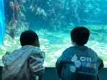 九十九島水族館海きららに投稿された画像（2024/3/22）
