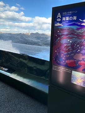 アクアワールド茨城県大洗水族館に投稿された画像（2024/3/22）