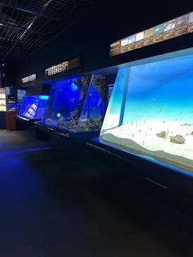 アクアワールド茨城県大洗水族館に投稿された画像（2024/3/22）