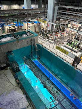 アクアワールド茨城県大洗水族館に投稿された画像（2024/3/22）