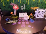 サンシャイン60展望台に投稿された画像（2024/3/22）