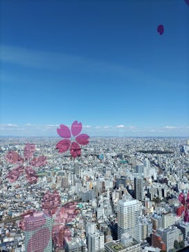 サンシャイン60展望台に投稿された画像（2024/3/22）