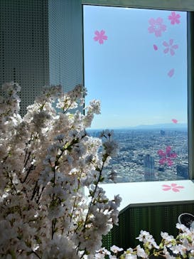 サンシャイン60展望台に投稿された画像（2024/3/22）