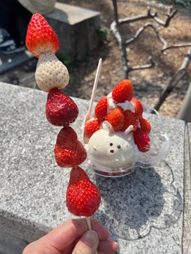 OSAKA Strawberry Festivalに投稿された画像（2024/3/22）
