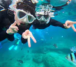 沖縄マリンサービス碧に投稿された画像（2024/3/22）