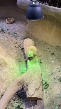 神戸どうぶつ王国に投稿された画像（2024/3/22）