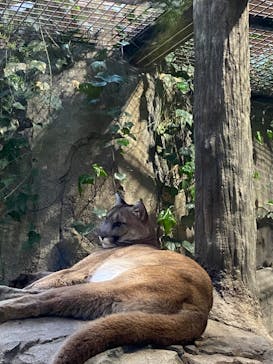 神戸どうぶつ王国に投稿された画像（2024/3/22）