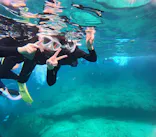 沖縄マリンサービス碧に投稿された画像（2024/3/22）