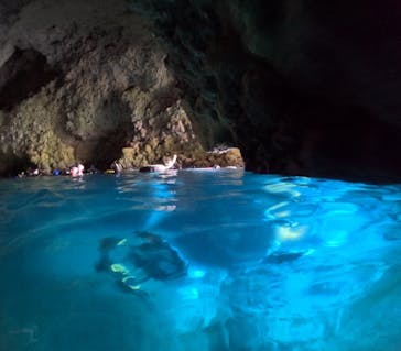 沖縄マリンサービス碧に投稿された画像（2024/3/22）