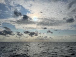 沖縄海うさぎ・海あしびに投稿された画像（2024/3/22）