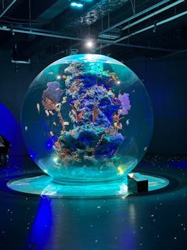 AQUARIUM × ART　atoaに投稿された画像（2024/3/22）