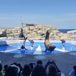 大分マリーンパレス水族館 「うみたまご」に投稿された画像（2024/3/22）