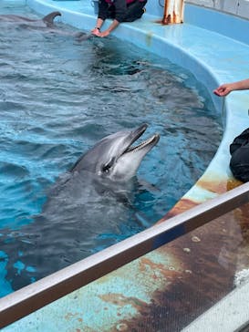 名古屋港水族館に投稿された画像（2024/3/22）