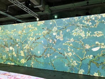 ゴッホ・アライブに投稿された画像（2024/3/22）