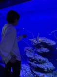 沖縄美ら海水族館に投稿された画像（2024/3/22）