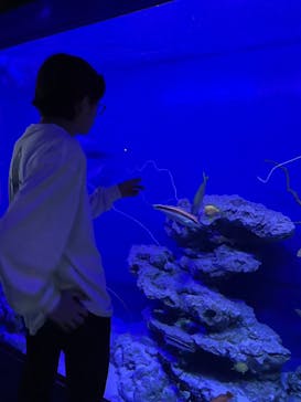 沖縄美ら海水族館に投稿された画像（2024/3/22）