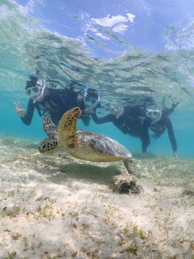 初心者専門宮古島シュノーケリングツアーに投稿された画像（2024/3/22）