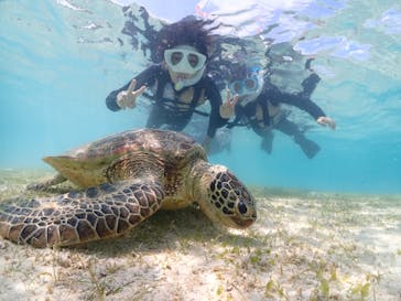 初心者専門宮古島シュノーケリングツアーに投稿された画像（2024/3/22）