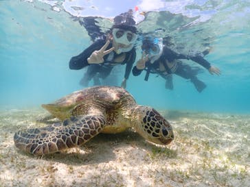 初心者専門宮古島シュノーケリングツアーに投稿された画像（2024/3/22）